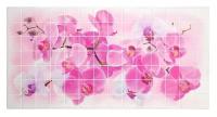 Панель ПВХ Мозаика Орхидея Розея 480*955*0,2мм