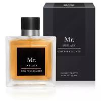 Christine Lavoisier Parfums мужская туалетная вода Mr. In Black, 100 мл