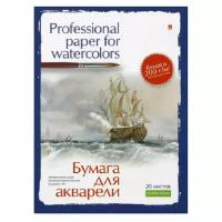 Папка для рисования акварелью А4,20л, блок гознак 200гр 4-021 дизайн в ассор