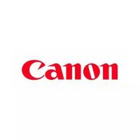 Запчасть Canon FM2-C066 Набор (2 шт.) шарниров узла сканирования MF4580/D550MF216/217/226/244/247 /FE2-K710/FE4-4951/FE4-4952/ FC0-1638/FC0-1637/FE4-4