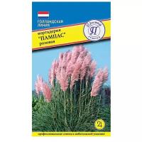 Пампасная трава Розовая. Кортадерия. Семена. Многолетник. Высота растения 2,5-3 м. Соцветия используют на срезку в свежем или засушенном виде
