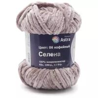 Пряжа для вязания Astra Premium 'Селена', 100 г, 68 м (100% микрополиэстер) (06 кофейный), 3 мотка