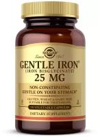 Gentle Iron (Iron Bisglycinate) капс., 25 мг, 15 г, 90 шт