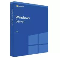 Серверная лицензия Microsoft Windows Server CAL 2019