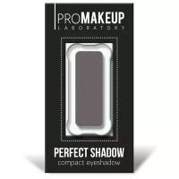 Компактные тени PERFECT SHADOW, PROmakeup Laboratory (06 ореховый / перламутровый)