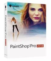 PaintShop Professional 2018 ML Mini Box