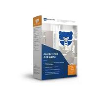 Антивирус Grizzly Professional для дома 12 мес. 2 ПК