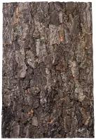 Натуральный фон из коры пробкового дерева LUCKY REPTILE "Rough", 60х30см (Германия)