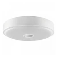 Потолочная лампа Yeelight Crystal LED Ceiling Light Mini YLXD09YL