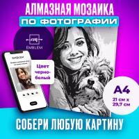 Алмазная мозаика по фотографии или картинке на подрамнике А4 Черно-белая