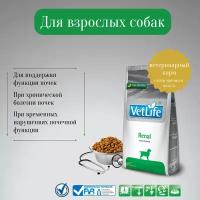 Farmina Vet Life для собак при заболеваниях почек (renal)