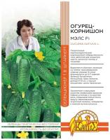 Семена Ваше хозяйство Селекция Штайнер Огурец-корнишон Мэлс F1, 5 шт