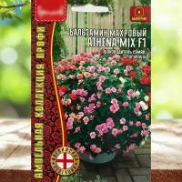 Семена цветов для дома и сада Бальзамин махровый ампельный Athena Mix 1 уп