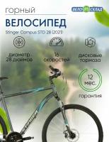 Дорожный велосипед Stinger Campus STD 28, год 2021, цвет Серебристый, ростовка 22