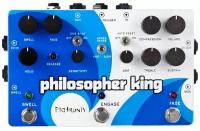 Pigtronix EGC Philosopher King, Envelope Generator Compressor