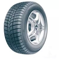 Tigar Winter 1 205/45 R17 88 зимняя