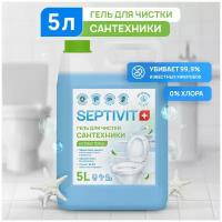 Гель для чистки сантехники SEPTIVIT/Средство для удаления известкового налета и ржавчины для ванных комнат, душевых кабин и сантехники/5л