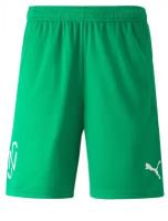 Шорты Puma Neymar JR Copa 60557007, р-р LRUS (L US), Зеленый