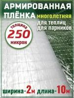 Пленка армированная для теплиц парников плотная 250мкм 2х10м