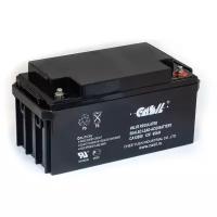 Свинцово-кислотный аккумулятор CASIL CA12650 (12 B, 65 Ач)