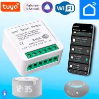 Умное Wi-Fi реле Tuya Mini Smart Switch Умный дом/Умный дом с Алисой/Умный дом Алиса. 16A - работает с Яндекс Алисой