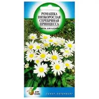 "Ромашка многолетняя низкорослая Серебряная Принцесса, 80 семян"