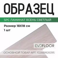 SPC ламинат Evofloor Home - Ash Light (Ясень Светлый) - образец