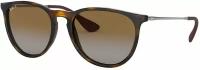 Ray-Ban Erika RB 4171 710/T5