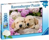 Ravensburger. Пазл карт. 300 "Сладкие щенки в корзинке"