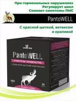 PantoWELL с красной щеткой и витексом 30 капсул