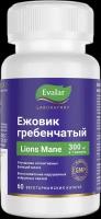 Ежовик гребенчатый/Lion’s mane 300 мг капсулы по 0,5 г 60 шт