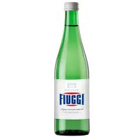 Вода минеральная Fiuggi (Фьюджи) без газа 24 шт по 0,5 л стекло