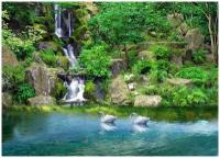 Лебеди у водопада - Виниловые фотообои, (211х150 см)