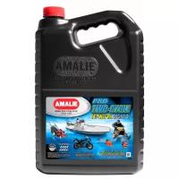 Моторное масло Amalie Pro 2-Cycle TC-W 3 RL 3,78 л