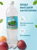 минеральная вода Кашинская газированная 1,5 л 1 шт