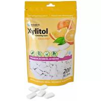 Xylitol Chewing Gum Fresh Fruit жевательная резинка с ксилитом со вкусом свежих фруктов 200шт