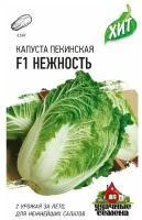 Удачные семена, Капуста пекинская Нежность F1 ХИТ 0,1 грамм