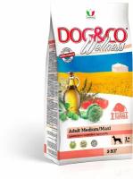 Wellness Dog&Co Adult Medium/Maxi корм для собак средних и крупных пород Баранина и рис