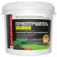 Удобрение Reasil Soil Conditioner Супер газон, 3 кг, 1 уп