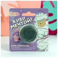 Beauty Fox Мелкие кристаллы для декора ногтей «Живи мечтой!»