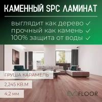 SPC ламинат Evofloor Optima Click - Груша Карамель