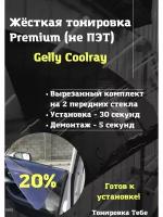 PremiumЖесткая тонировка Gelly Coolray