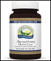 Листья Оливы - Olive Leat Extract – 60 капсул