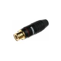 Разъем RCA(G) metall gold/black Premier (Nakamichi) под пайку