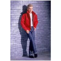 Barbie James Dean American Legend (Барби Джеймс Дин Американская легенда)