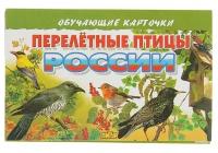 Обучающие карточки «Перелётные птицы России», 16 карточек