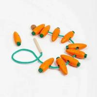 Шнуровка Морковки, 10 шт. в наборе