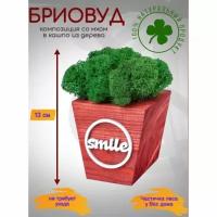 Композиция со мхом Pipwood "Бриовуд-месседж" smile, цвет: красное дерево, мох: Forest green