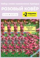 Семена Камнеломки арендса Розовый ковёр, 4 упаковки + 2 Подарка