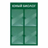 Стенд информационный "Юный Биолог" 500х780 мм с 4 карманами А4 производство "ПолиЦентр